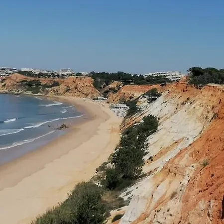 Casa Sophie アルブフェイラ