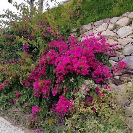 Casa Sophie